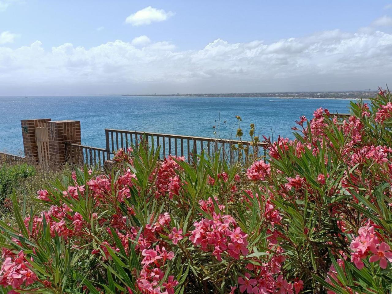 For A Stay Bahia 3 サロウ エクステリア 写真